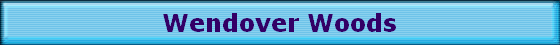 Wendover Woods