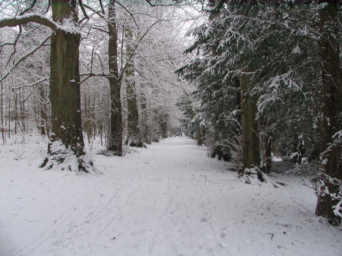 Tring Great Park Ridgeway
