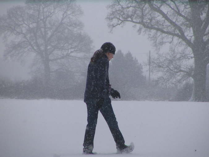 Field Wendover Hills