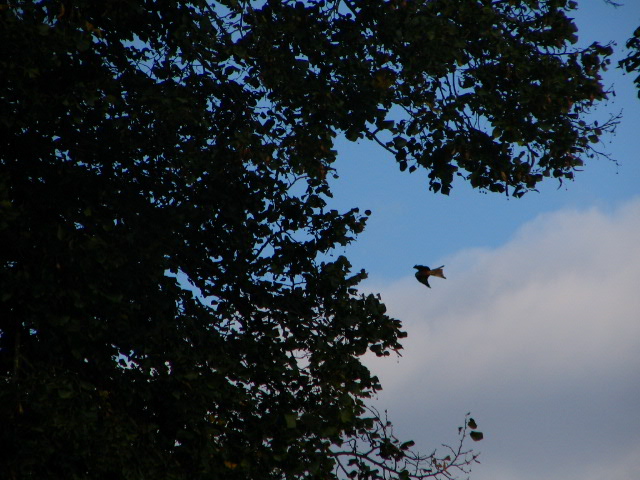 remenham with lucy sep 07 024