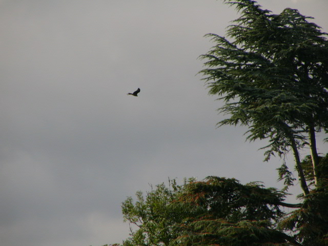 remenham with lucy sep 07 027