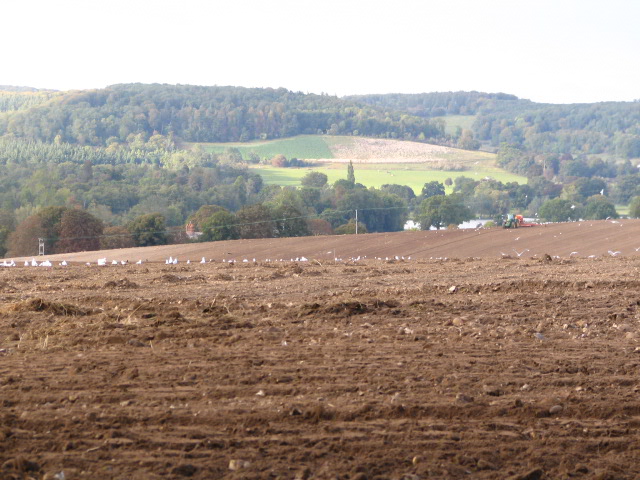 remenham with lucy sep 07 046