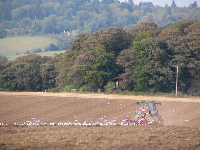 remenham with lucy sep 07 049